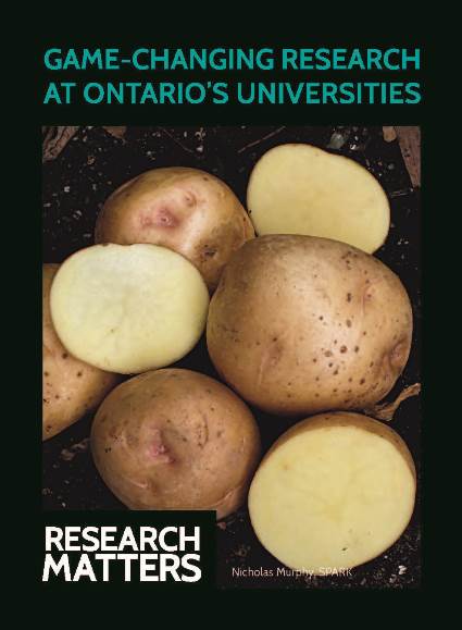 Yukon Gold Potato Playing Card for the Research Matters Game-Changing Research at Ontario Universities campaign